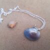 cockle-shell-necklace-on-beach