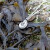 ammonite-necklace-natural-background-1