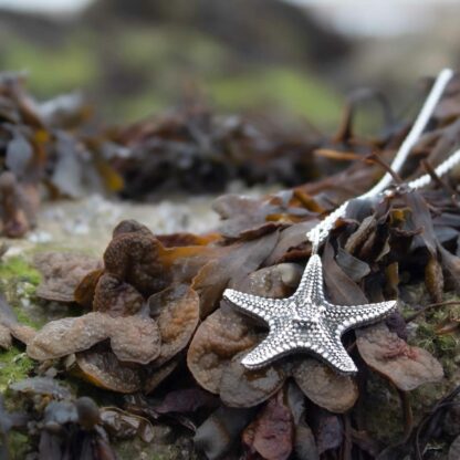 large-venus-starfish-necklace-natural-background-1