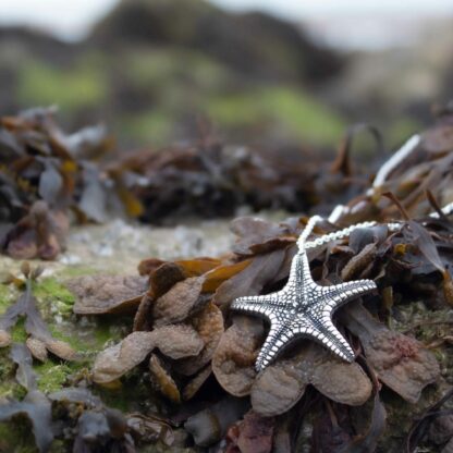 large-venus-starfish-necklace-natural-background-2