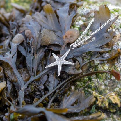 medium-starfish-necklace-natural-background-1