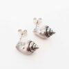 whelk-shell-stud-earrings-white-background